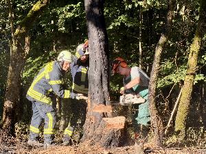 Bild: Vegetationsbrand zwischen Dirmingen und Berschweiler