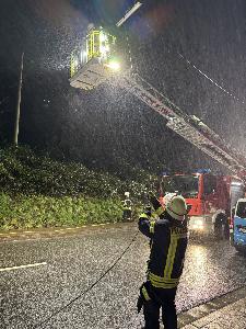 Bild: Umgestürzter Baum in der Kossmannstraße