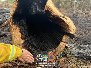 Bild: Waldbrand im Hosterwald: 78 Stunden gemeinsam gegen die Flammen