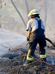 Bild: Feuerwehr Eppelborn unterstützte bei großem Waldbrand bei Ottweiler