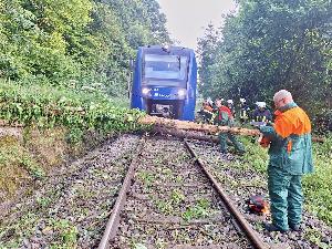 Bild: Umgestürzte Bäume auf der Bahnstrecke zwischen Bubach-Calmesweiler und Eppelborn