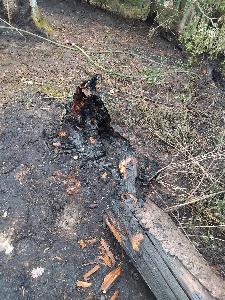 Bild: Großer Waldbrand auf dem Kleinen Hirschberg bei Neunkirchen-Kohlhof
