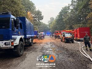 Bild: Waldbrand im Hosterwald: 78 Stunden gemeinsam gegen die Flammen