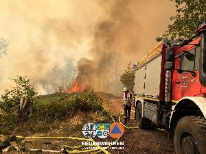 Bild: Waldbrand im Hosterwald: 78 Stunden gemeinsam gegen die Flammen