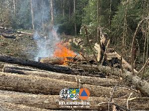 Bild: Waldbrand im Hosterwald: 78 Stunden gemeinsam gegen die Flammen