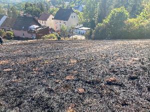 Bild: Großer Flächenbrand bei Lautenbach