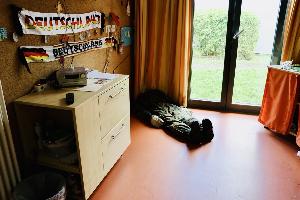 Bild: Große Evakuierungsübung im Haus Hubwald