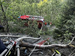 Bild: Großer Vegetationsbrand auf einer Bergehalde bei Wiebelskirchen (Foto: Andreas Kuhn - Landkreis Neunkirchen)