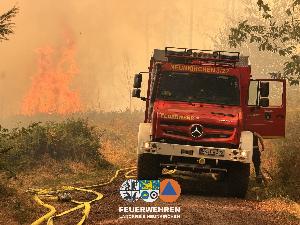 Bild: Waldbrand im Hosterwald: 78 Stunden gemeinsam gegen die Flammen