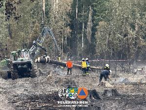 Bild: Waldbrand im Hosterwald: 78 Stunden gemeinsam gegen die Flammen