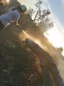 Bild: Großer Flächenbrand bei Lautenbach