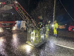 Bild: Umgestürzter Baum in der Kossmannstraße