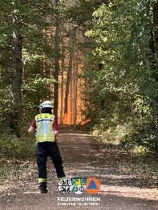 Bild: Waldbrand im Hosterwald: 78 Stunden gemeinsam gegen die Flammen