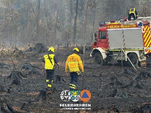 Bild: Waldbrand im Hosterwald: 78 Stunden gemeinsam gegen die Flammen